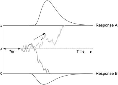 Systematic Parameter Reviews in Cognitive Modeling: Towards a Robust and Cumulative Characterization of Psychological Processes in the Diffusion Decision Model